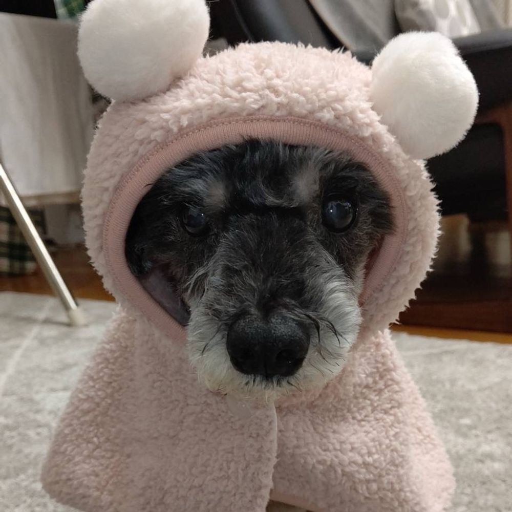まめ