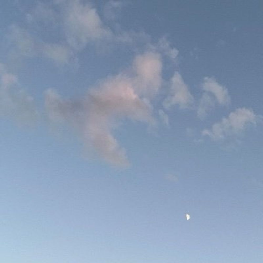 里美花