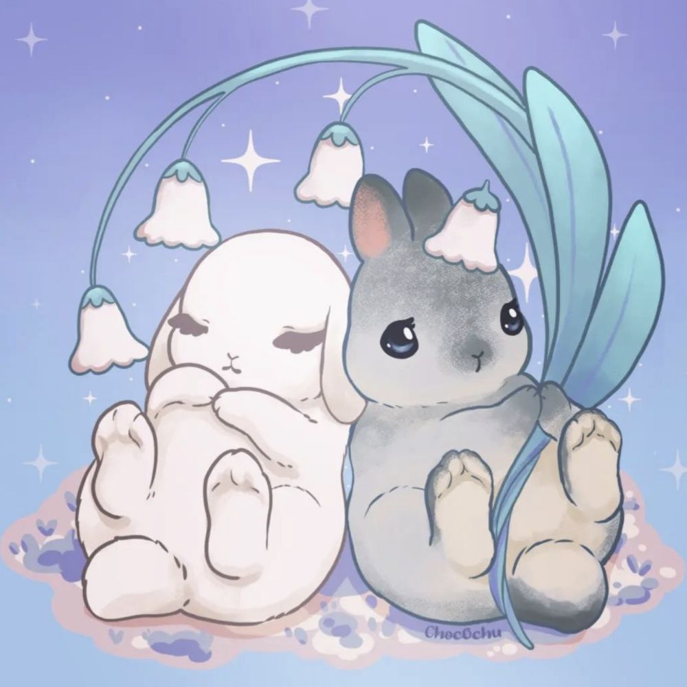 Choco Chu