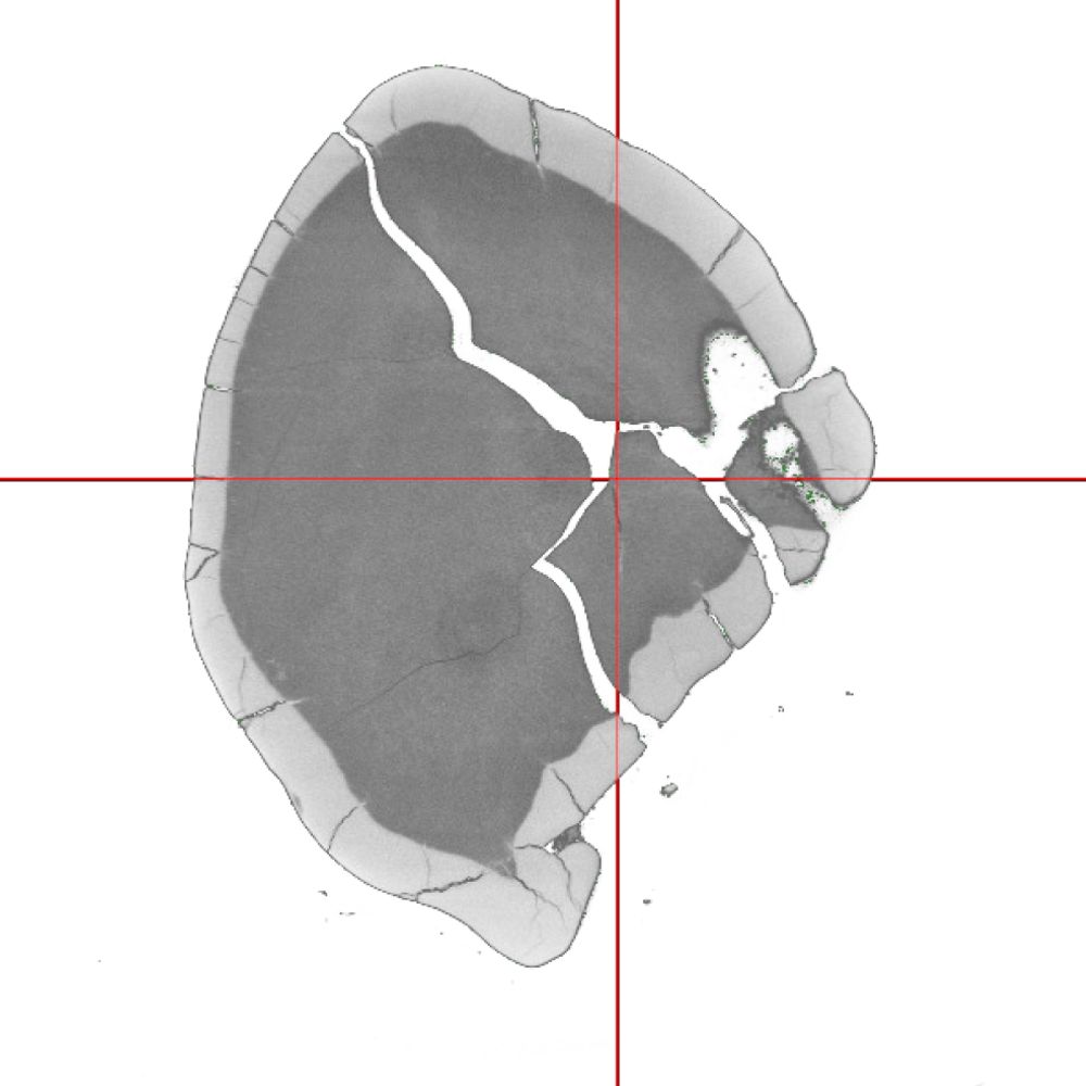 ORCEpluSZ