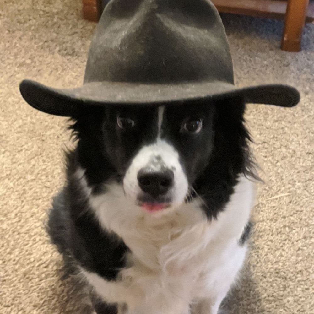 Buddy