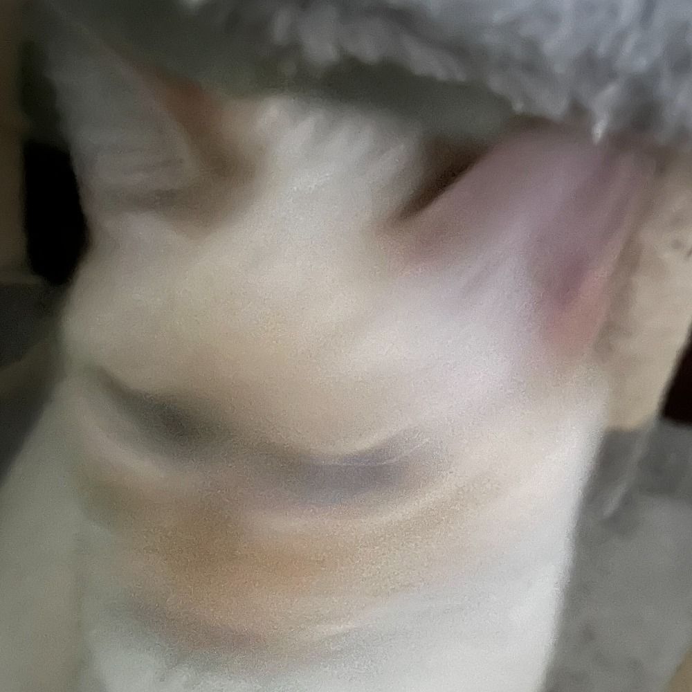 Rshig