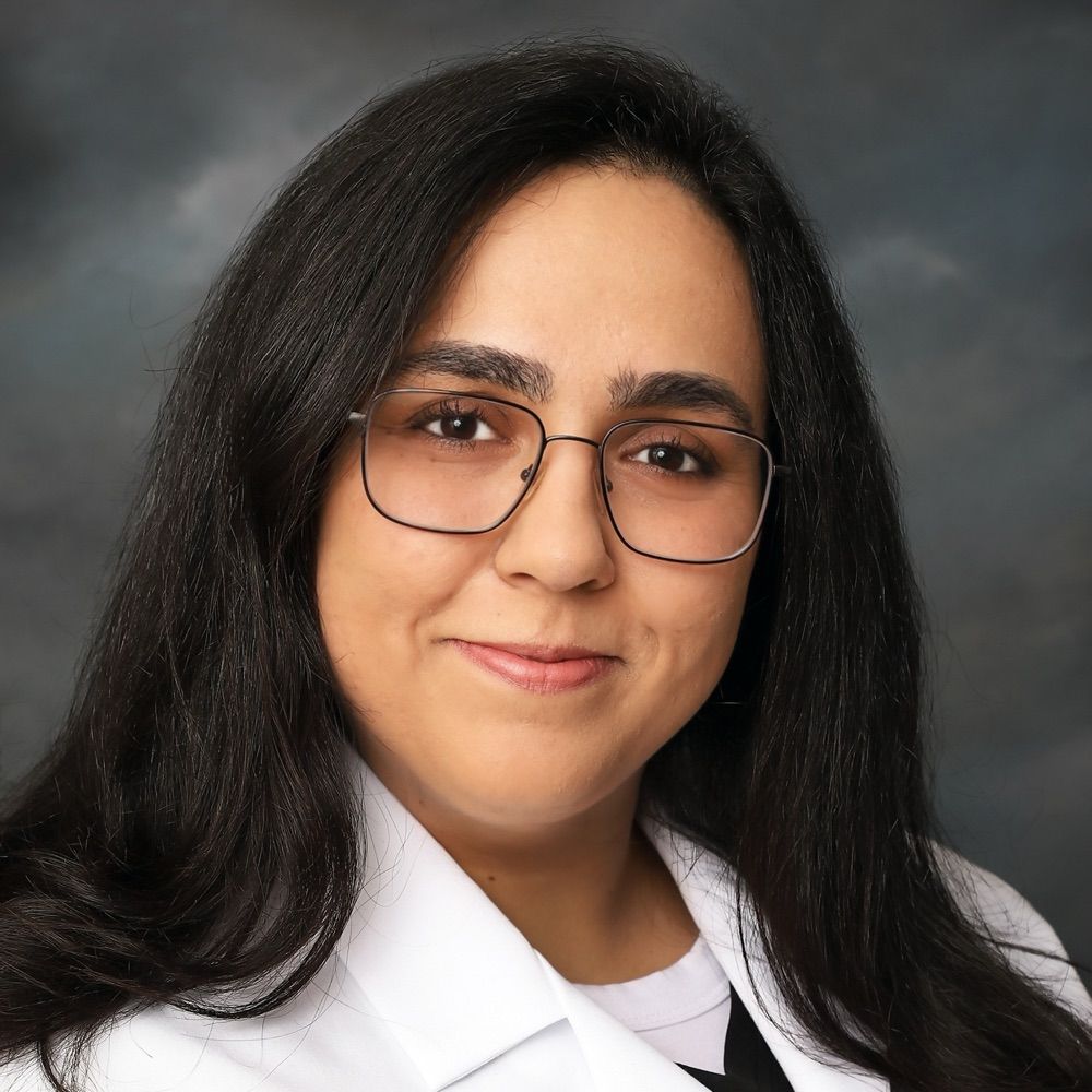 Setareh Zandihaghighi