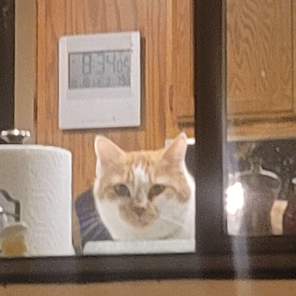 Bonko