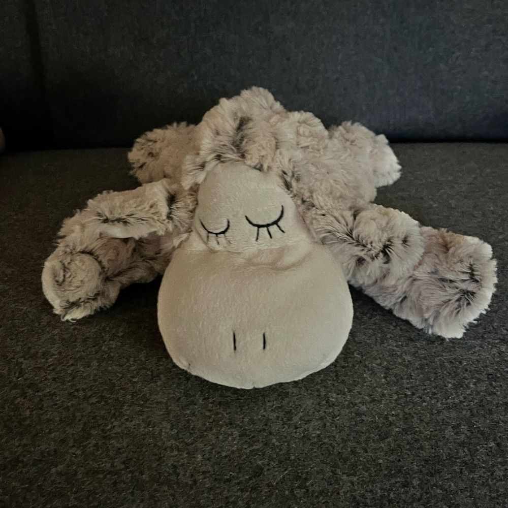 Heidschnucke