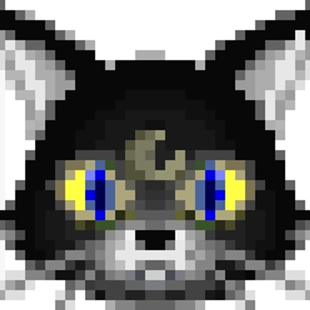 黒猫の成れ果て