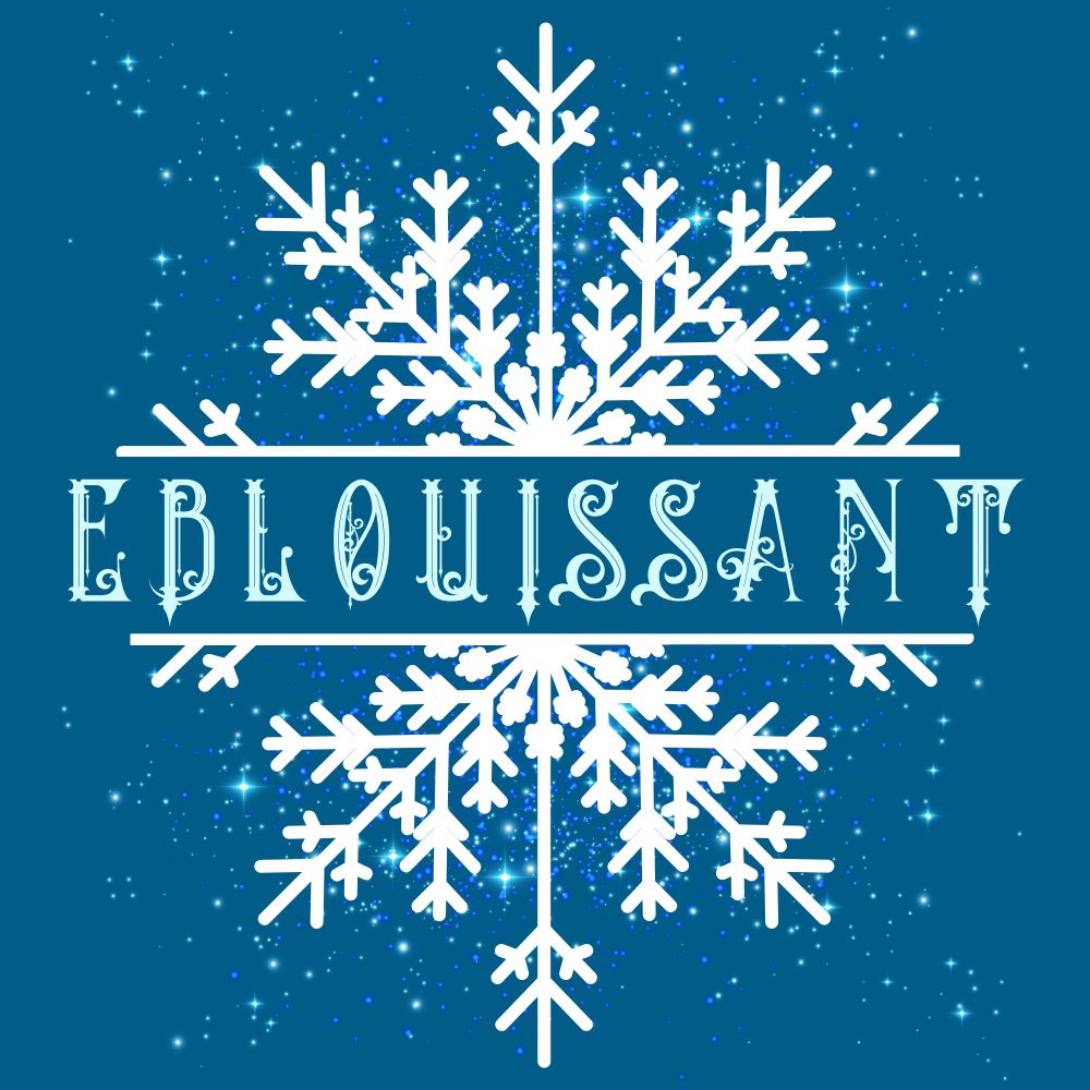Éblouissant - A ShBkDk Winter Zine