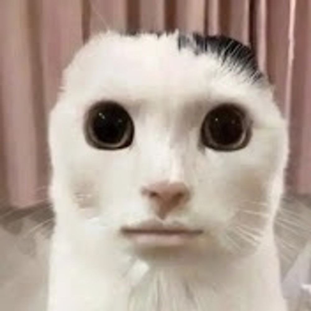 おさす
