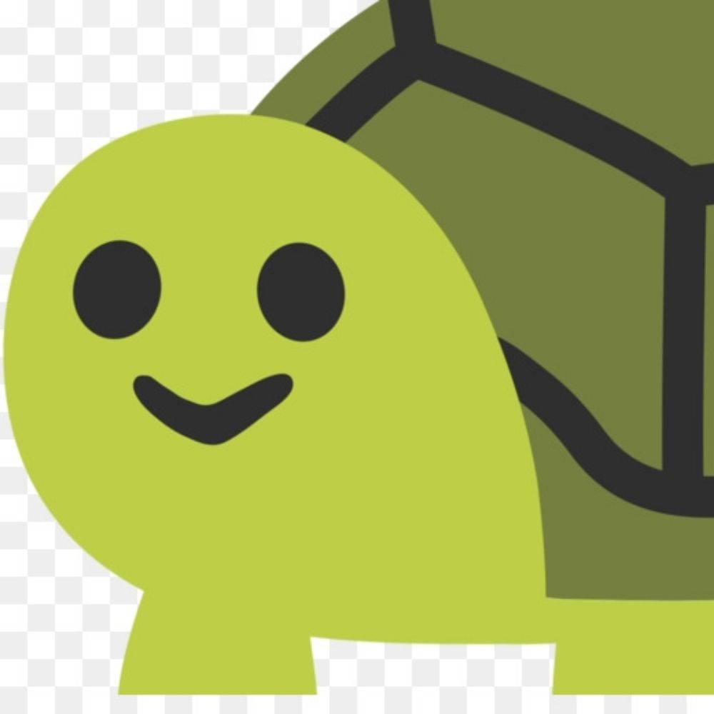 FutureTurtle