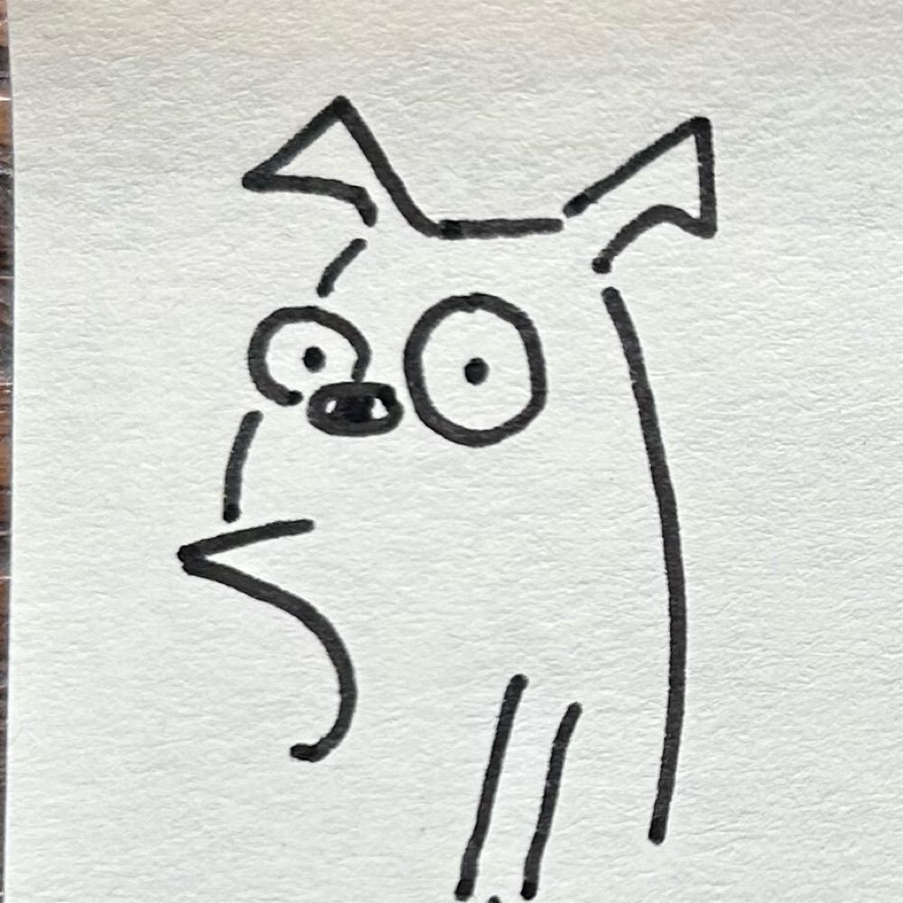 Netols Fry