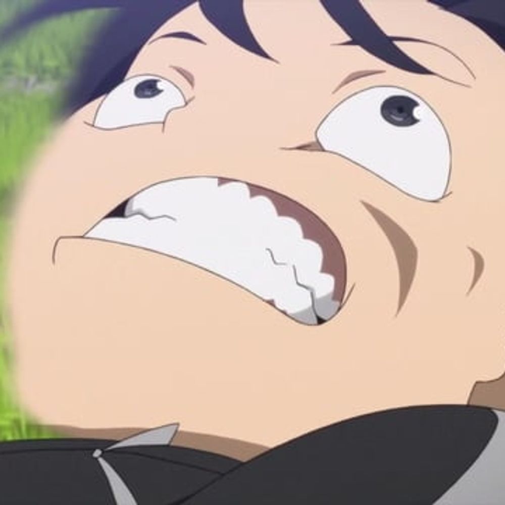 nosaofortoonami.bsky.social profile picture