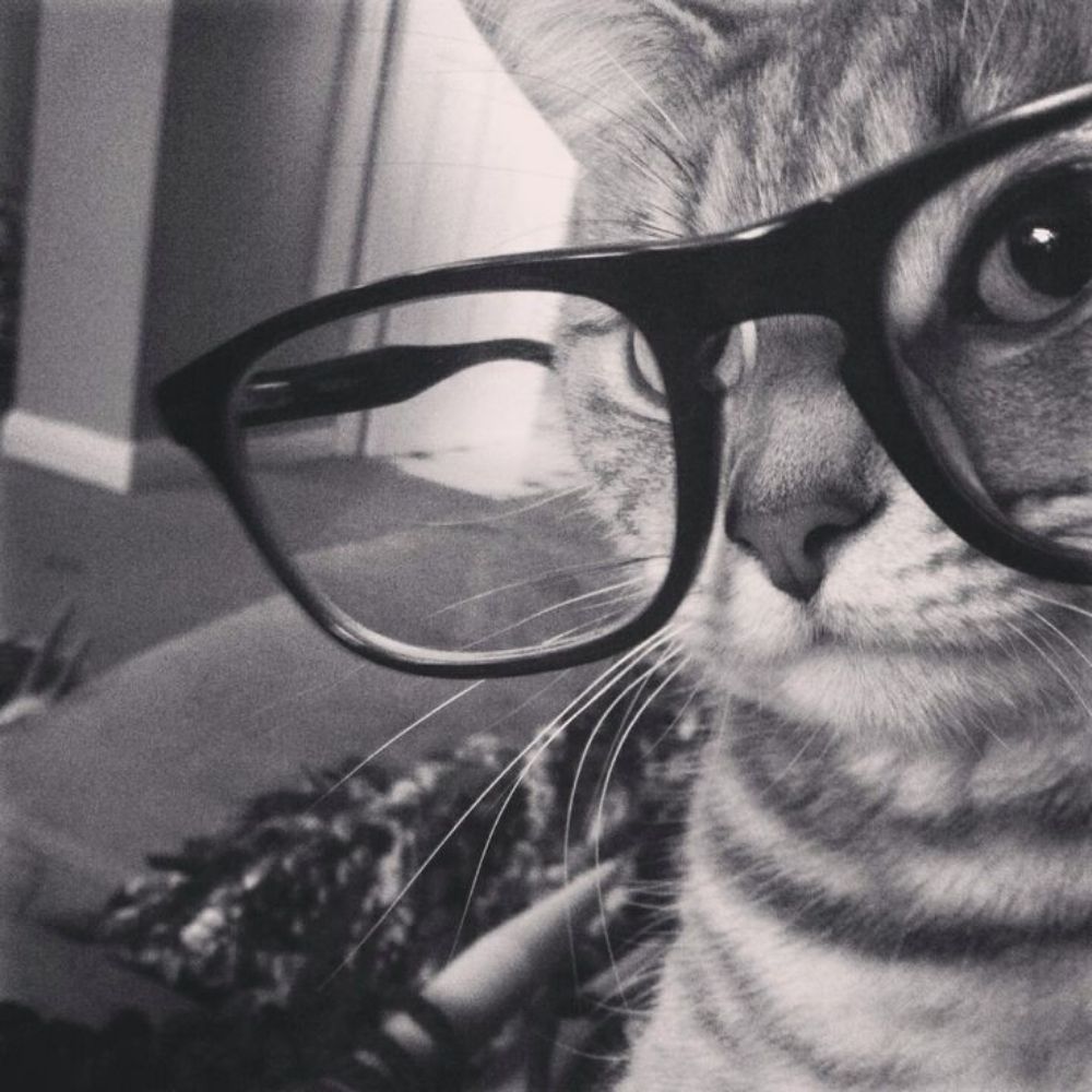 Ana Clara 🐈‍⬛ 