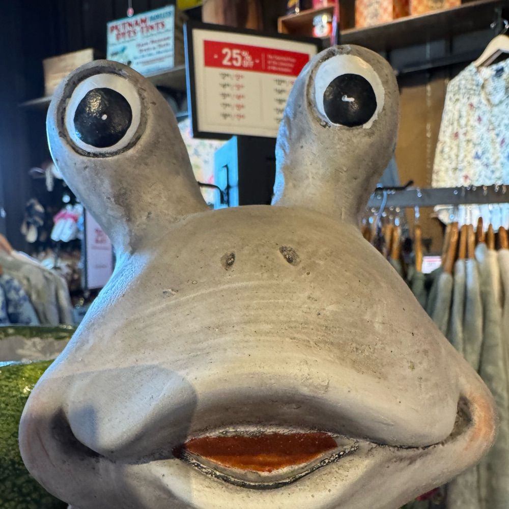 D_Rock, Concerned Ex-Professional