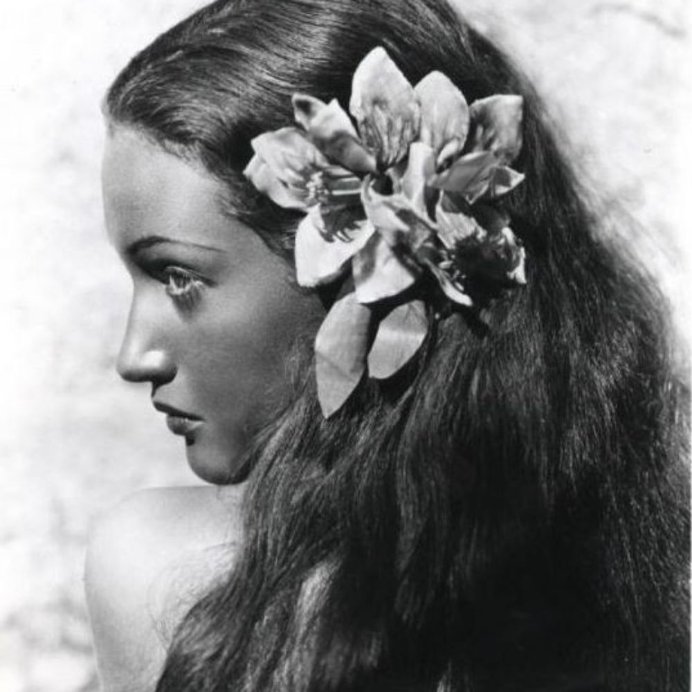 clarinha jurídico nick nelson.