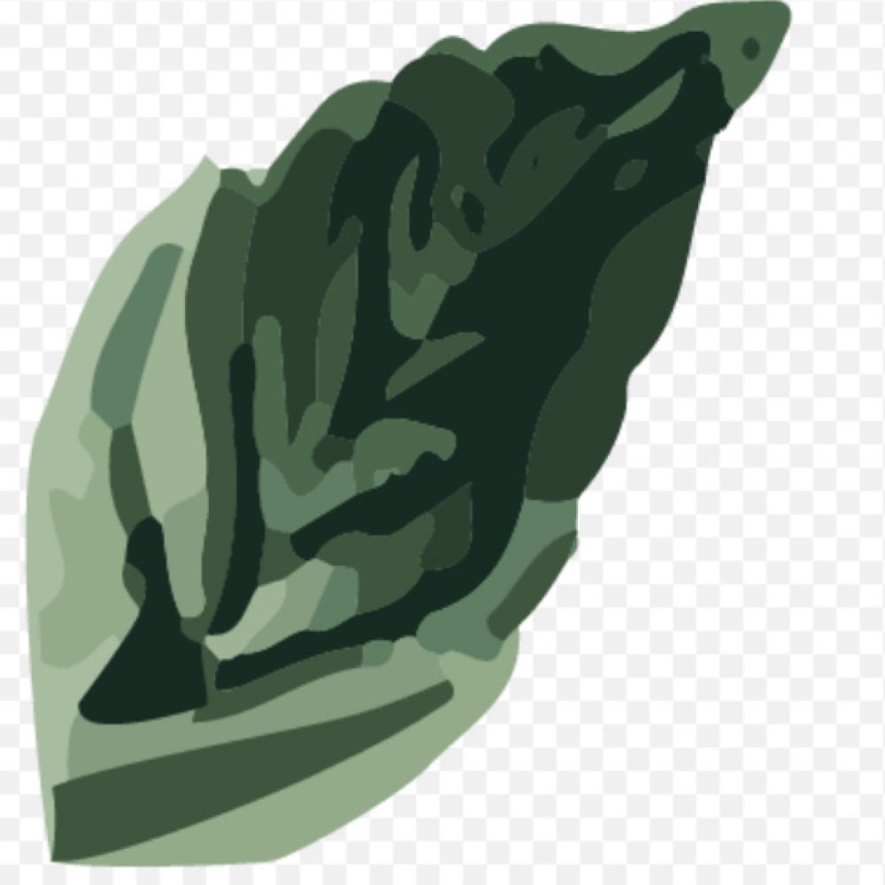 Hyssop Press