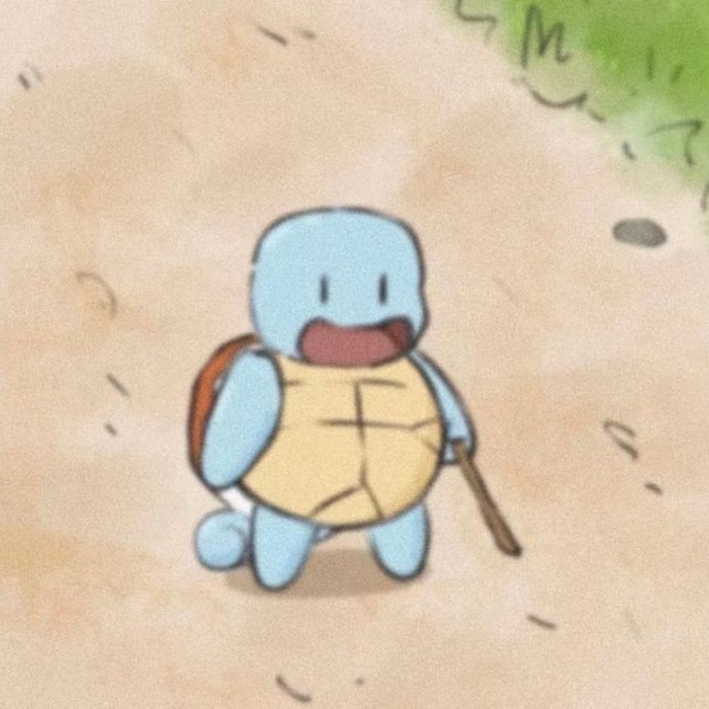 🐢