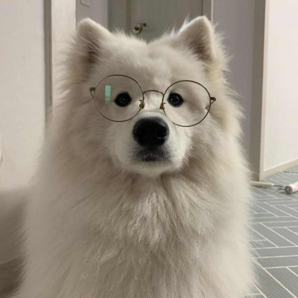 CURIEUXQUEEN