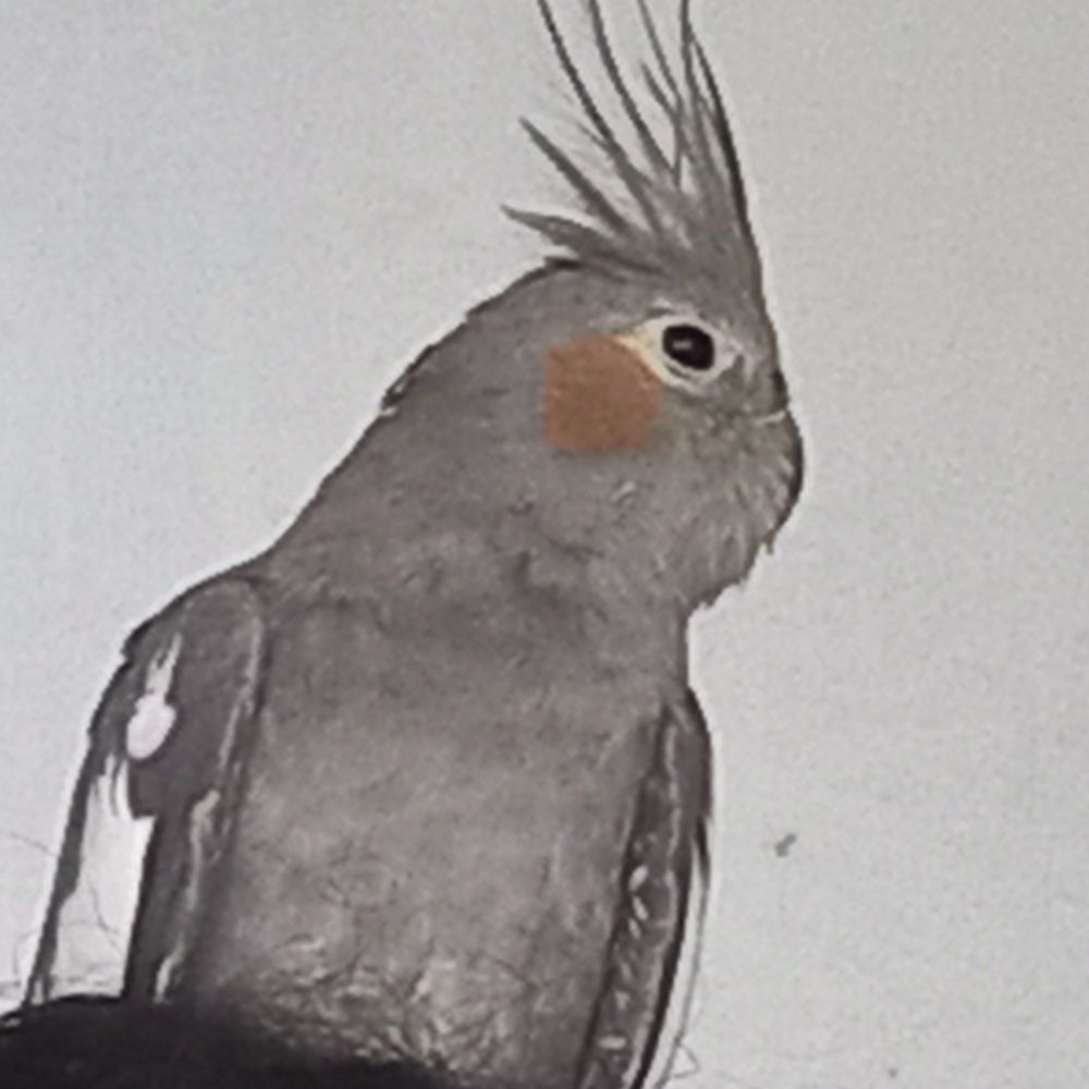Ana