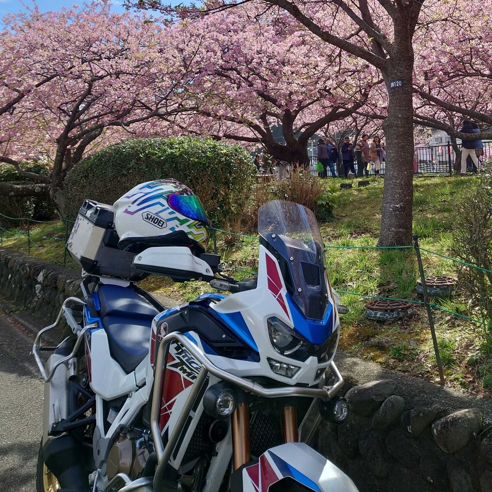 うりぃ
