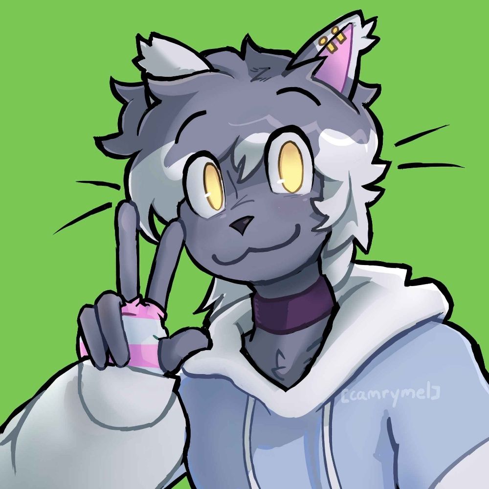 Addy the Cat Gal