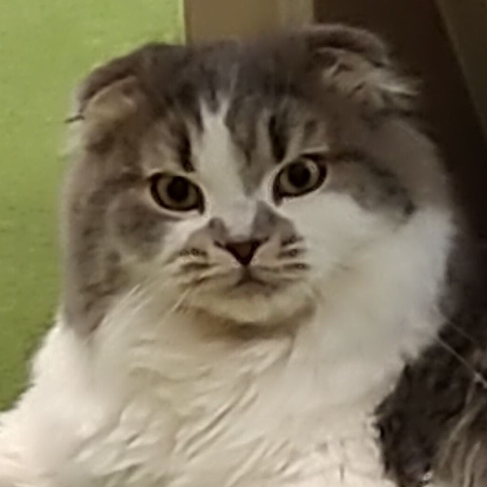 ソウ