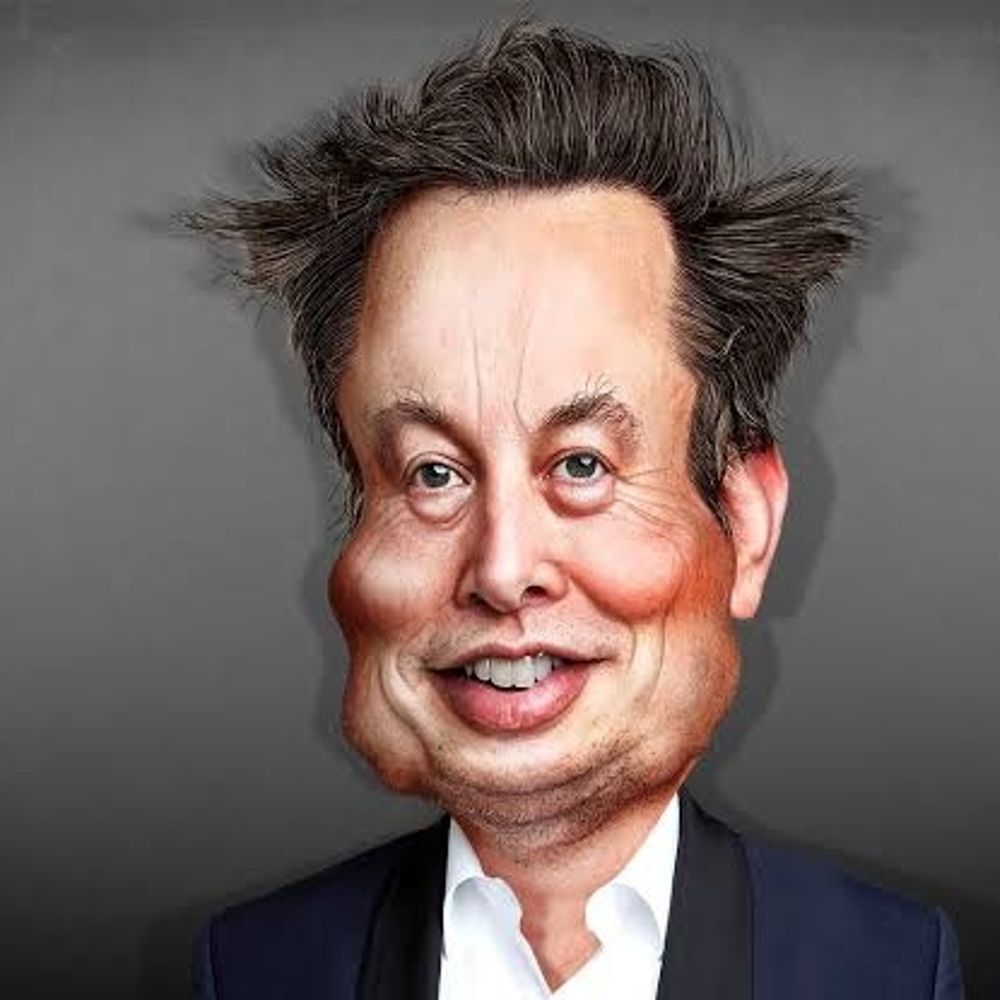 Elon Muskito