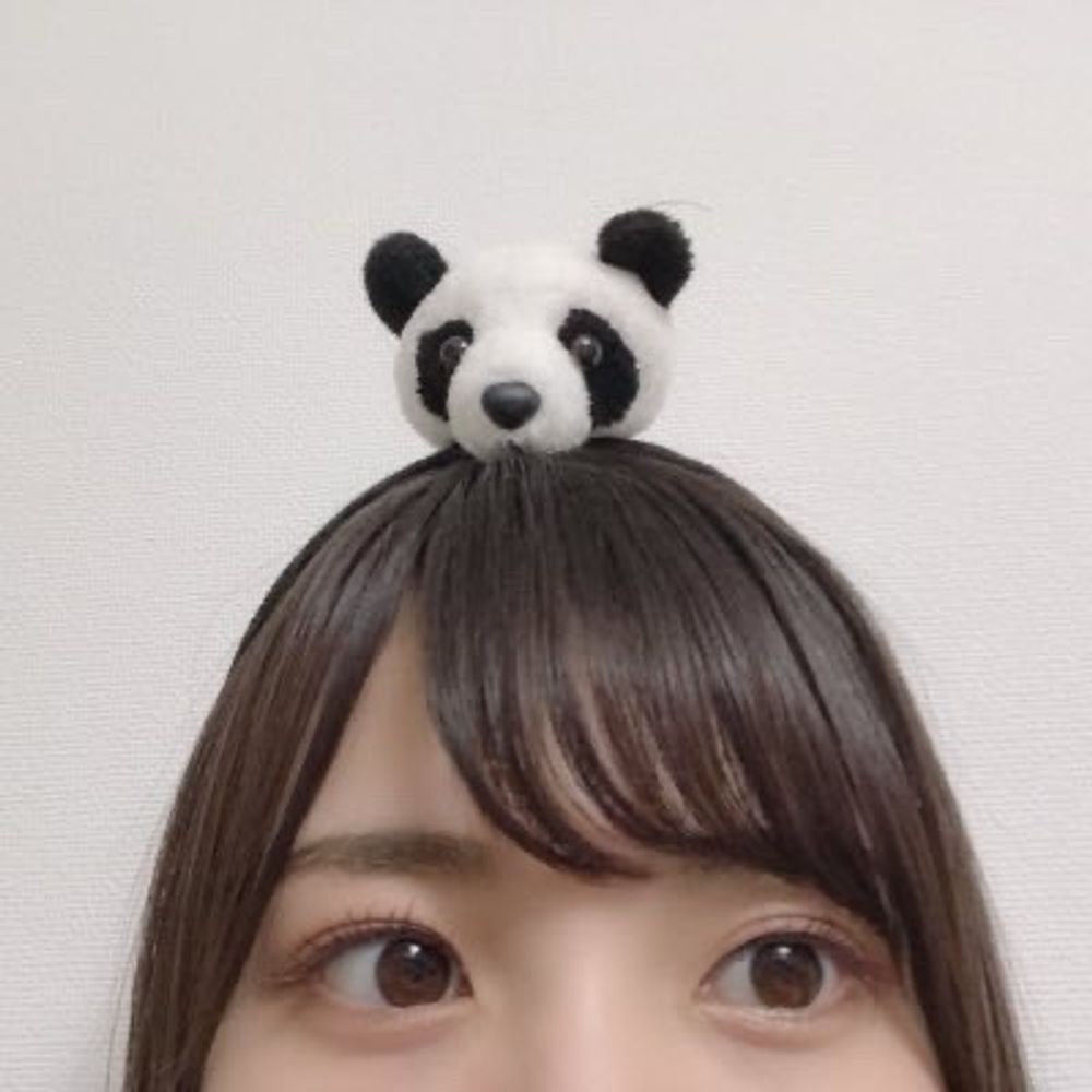 にゅーかいきゅ