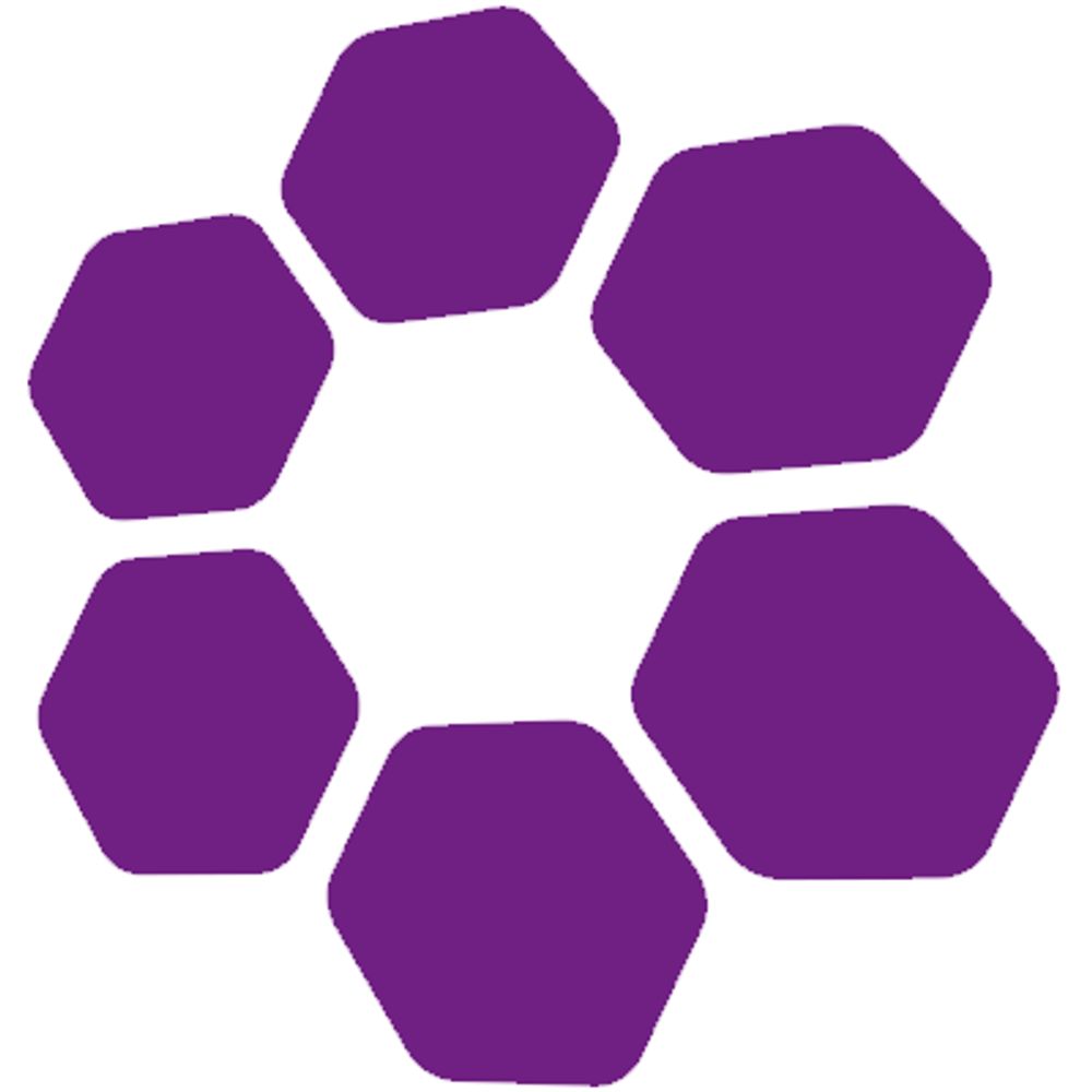 Women's Engineering Society