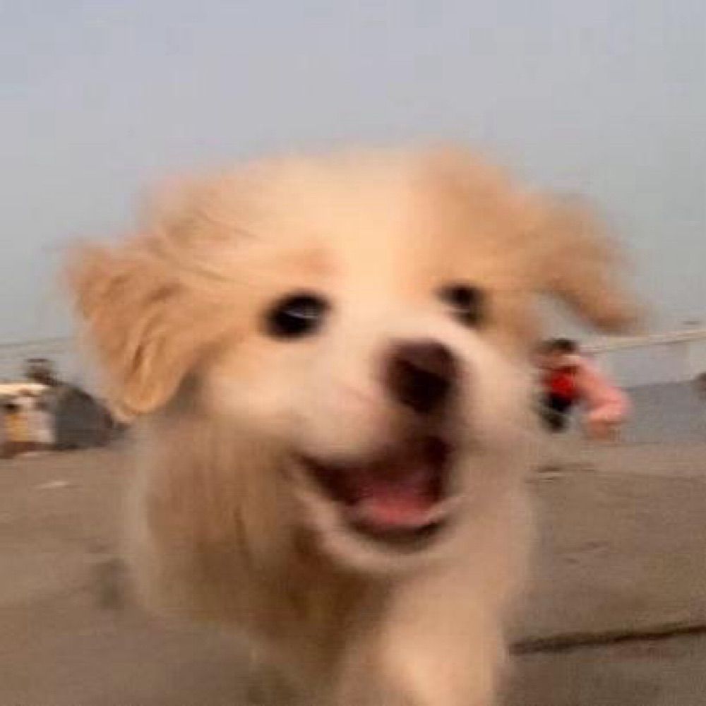 腹肌是瘦出来的