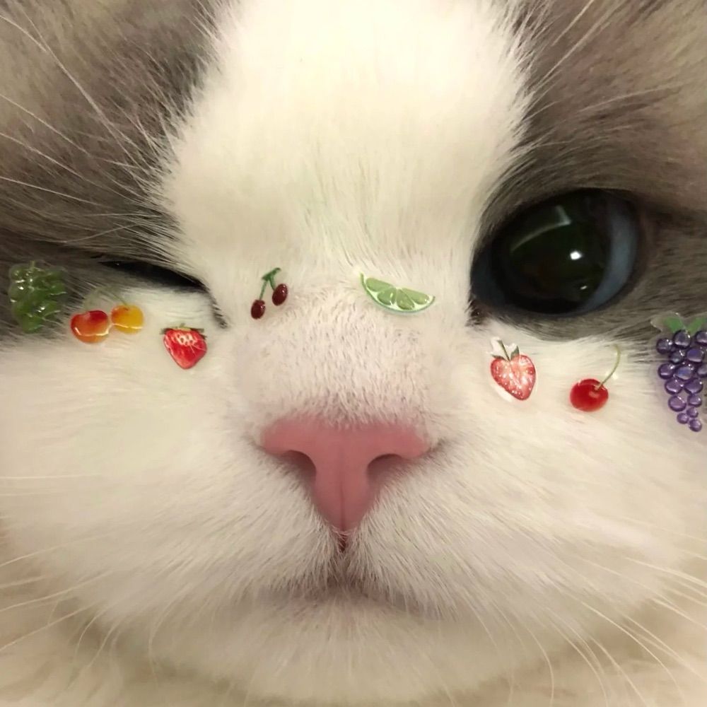 ✿