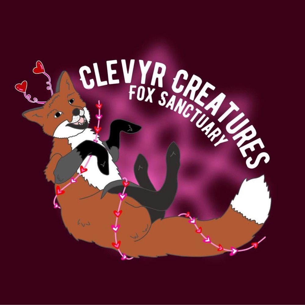 Clevyr Creatures Fox Sanctuary