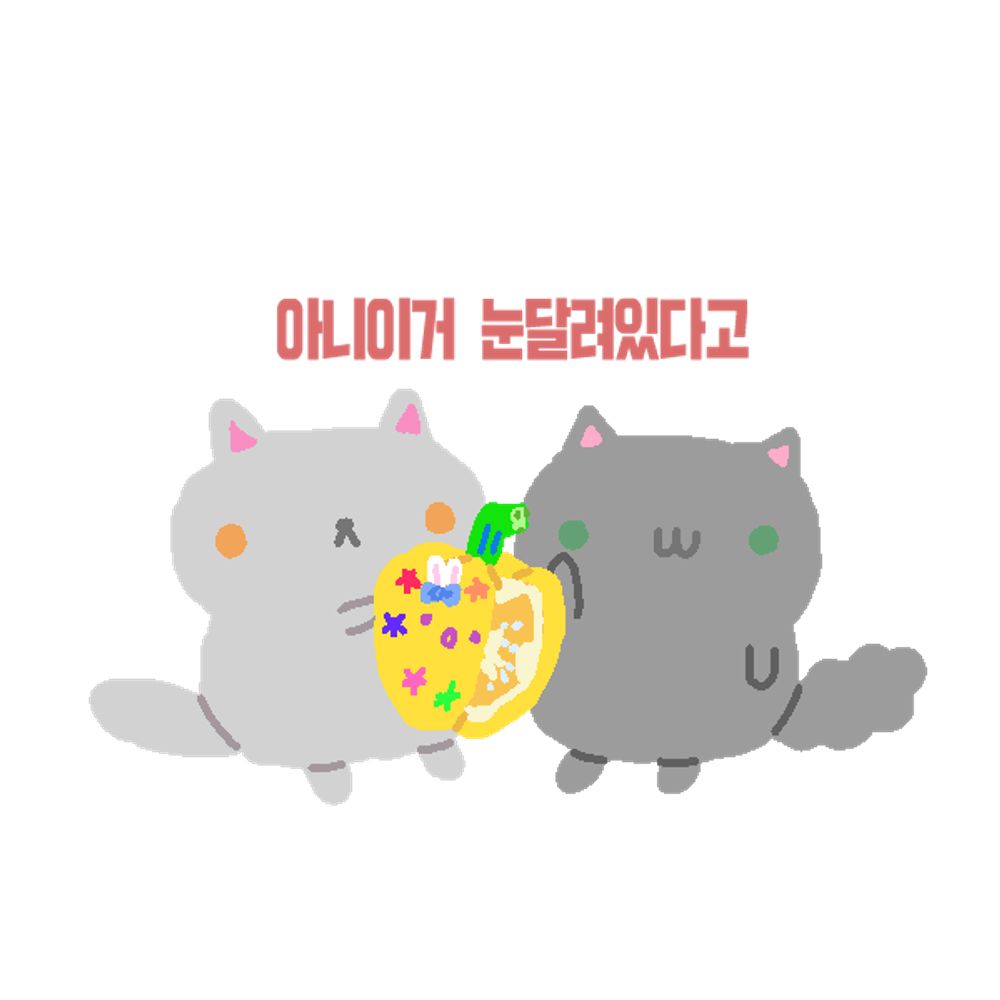 김소효/렌넷 🔒
