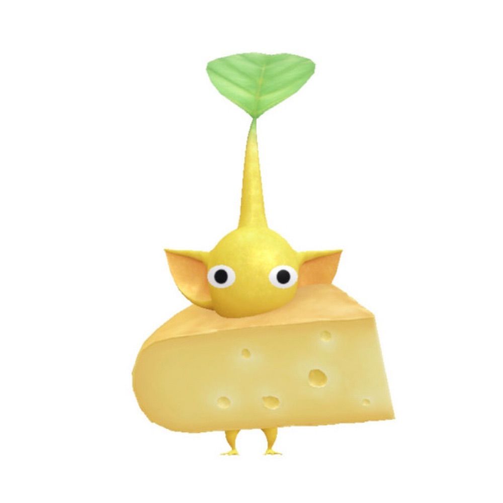멜양이