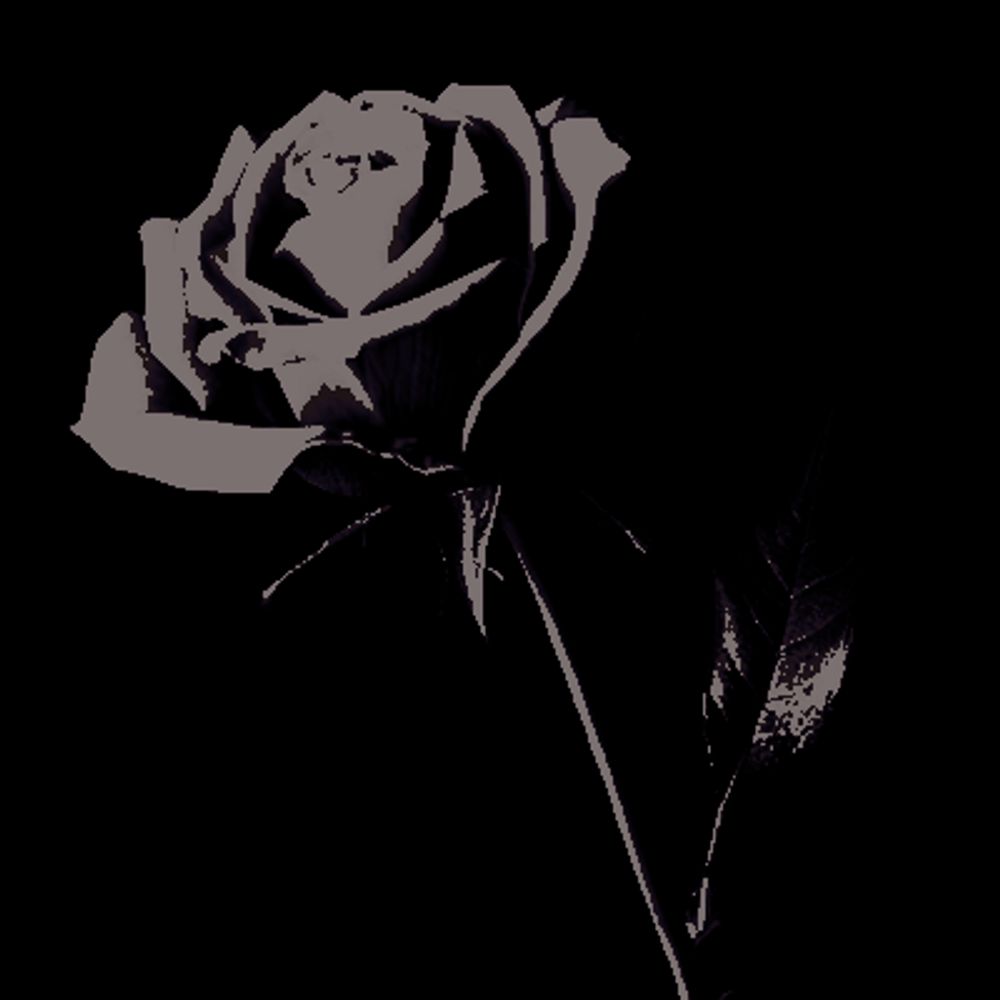 𓉸. ‍ ‍ ‍ ‍ ‍ ‍ ‍ ‍ ‍ ‍ ‍ ‍ ʰᵉᵃʳᵗ𝐒𝐓͟𝐎𝐏𝐏𝐄𝐑