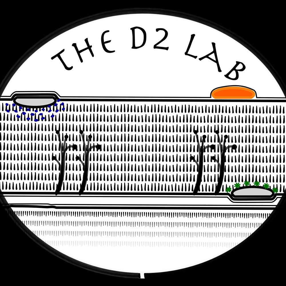 The D2 Lab