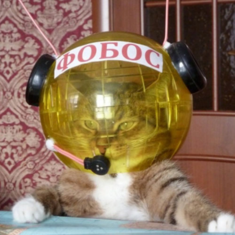 Mordisko