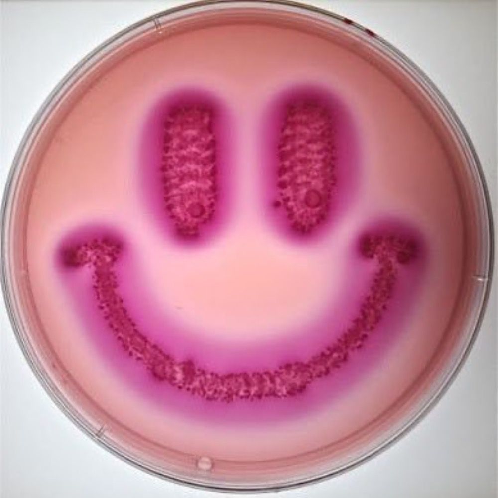 AntiMicroBio