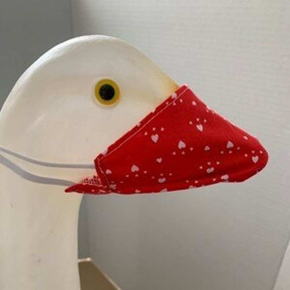 sullivan goose