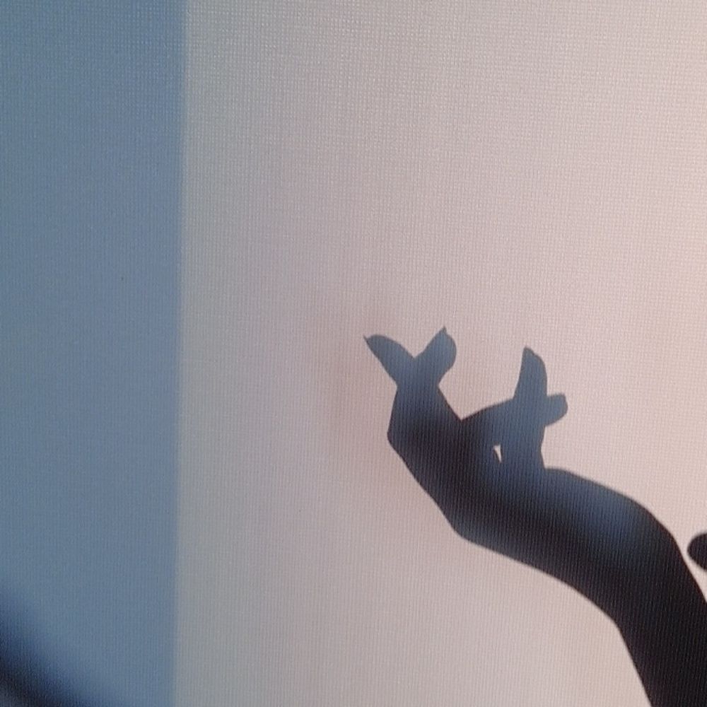 김고유