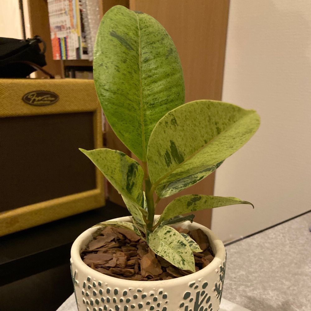 すな