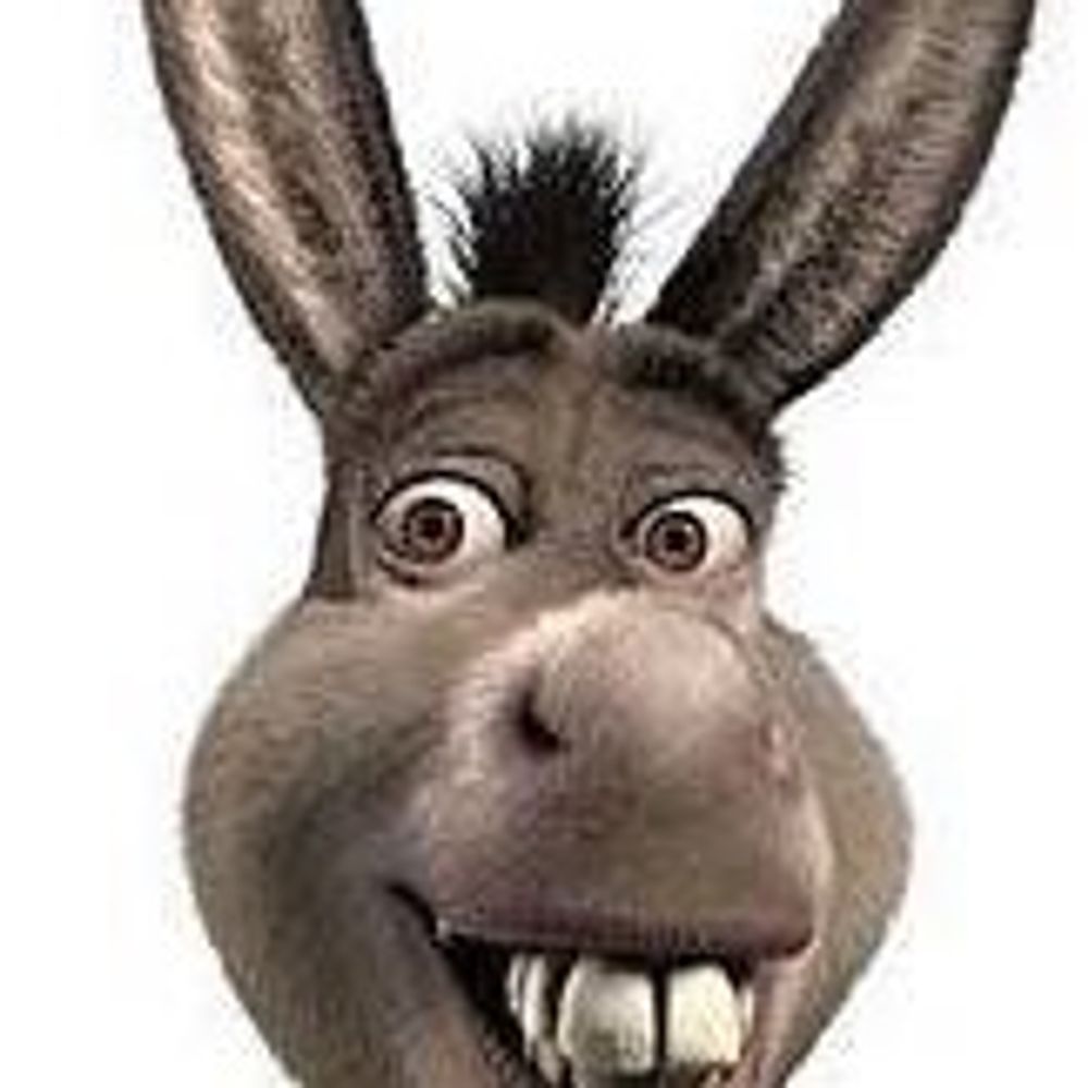 Mr. Donkey