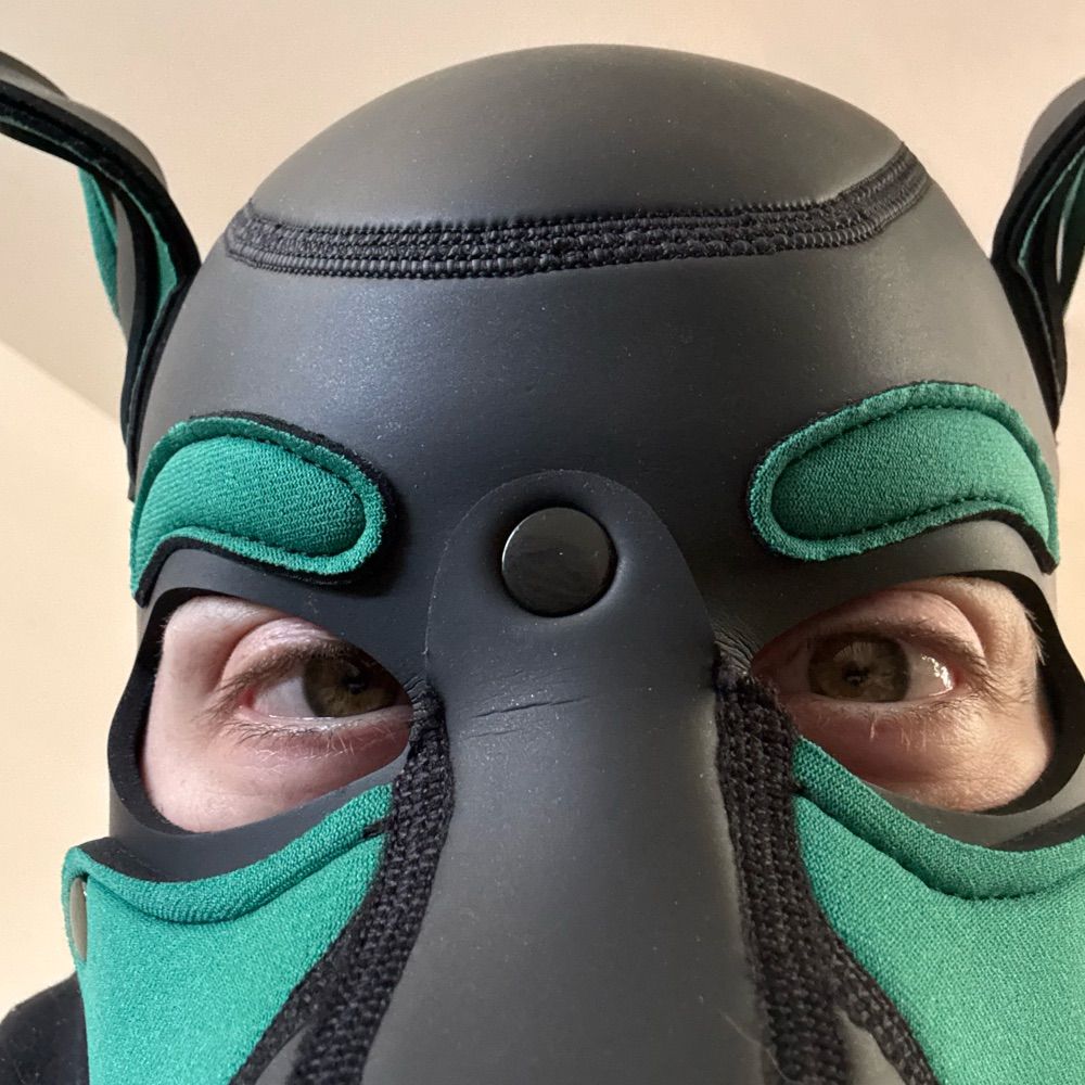 🐶Pup Goose🤡