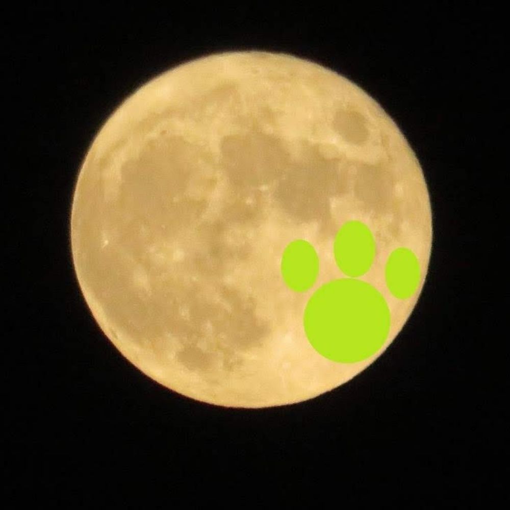 えみっきー
