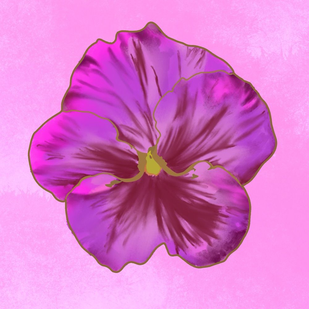 The Pink Underground