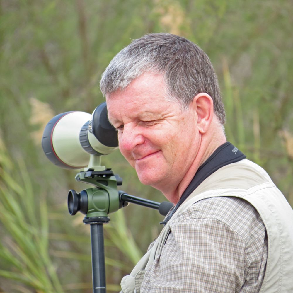 Mark Dennis