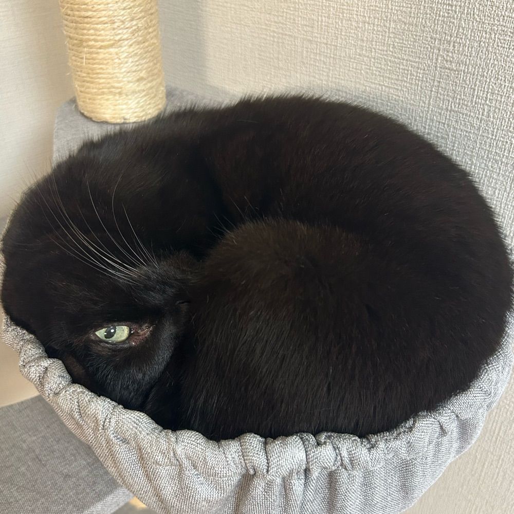 ほしむ