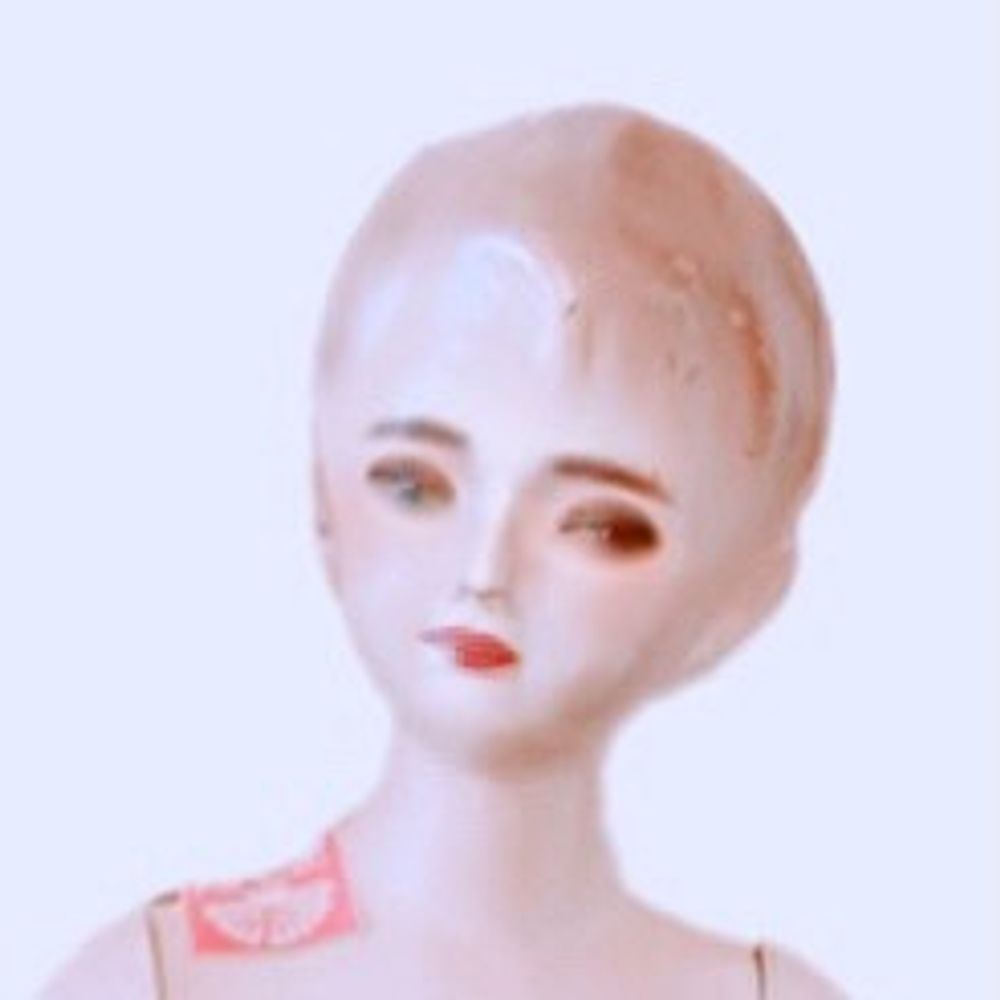 キヨタ君
