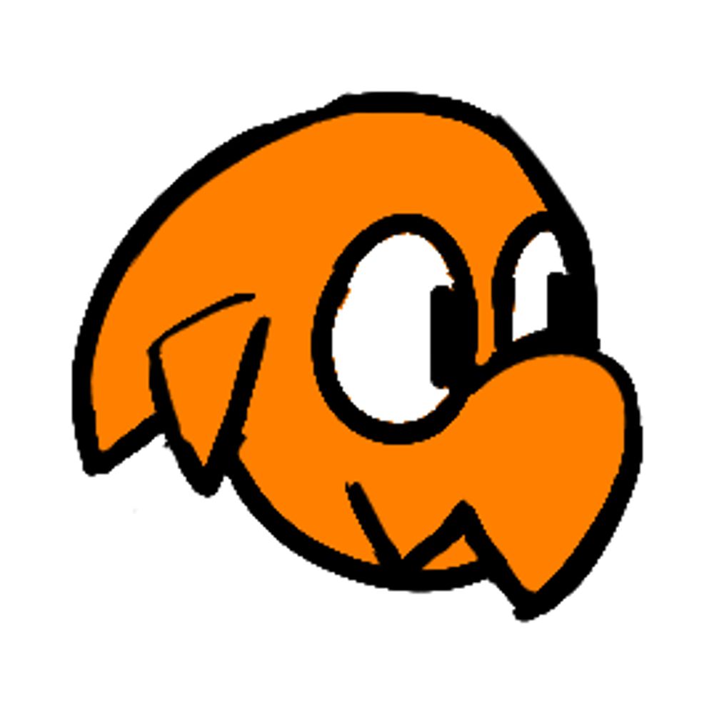 Squid