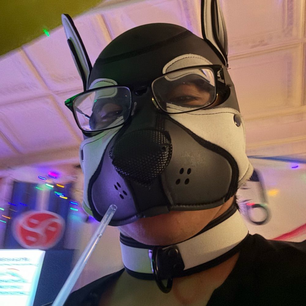 Pup Slull