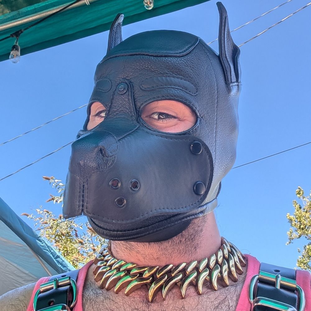 Antifapup